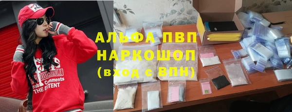 трава Белокуриха