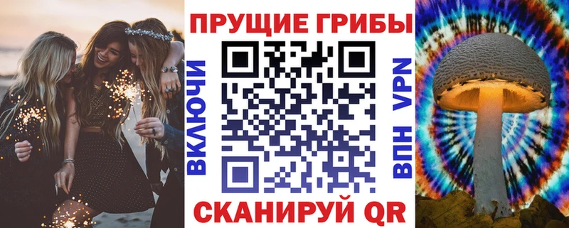 Псилоцибиновые грибы ЛСД  Берёзовка 